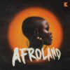 Afro Land