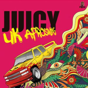 JUICY - UK AFROSWING PACK